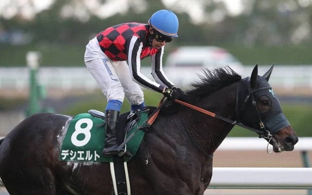 【競馬予想】金鯱賞は先を見据えた有力馬が陥る落とし穴を考慮　異色の良血馬の大駆けに要注意