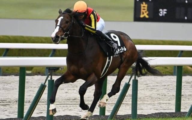 【ゆきやなぎ賞結果】ゲルチュタールが好位から抜け出しV