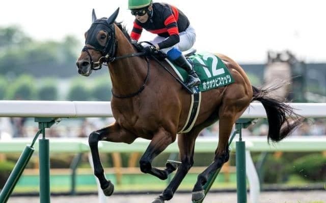 【金鯱賞予想】前走で大崩れしてないことが好走条件!? ビッグレースでの実績もある人気馬が該当した消しデータとは