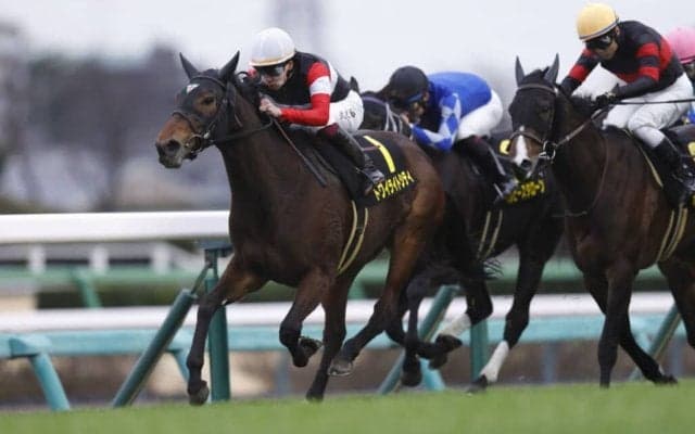 【アネモネS】トワイライトシティがデビュー2連勝…横山武は本日の4勝目