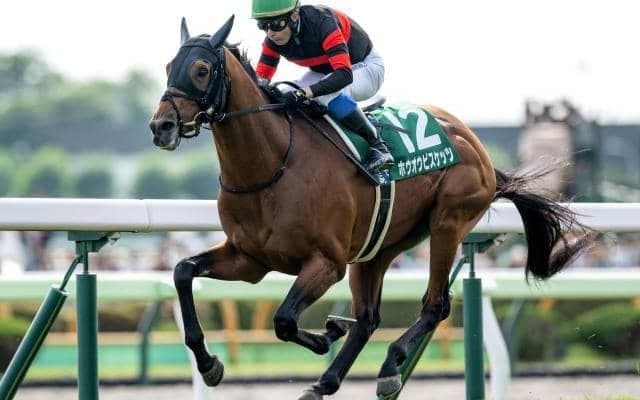 【AI予想・金鯱賞】大敗直後も条件好転で一変に期待！ 人工知能が激変を示唆する本命馬とは