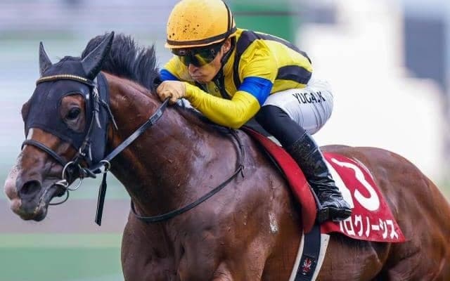 【今日の注目ポイント】大阪杯前哨戦の金鯱賞と皐月賞TRスプリングS