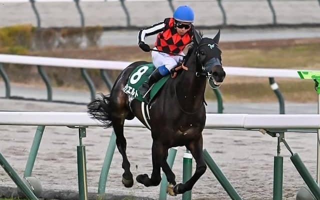 【金鯱賞・馬体重】デシエルトは536kg(+4)、ホウオウビスケッツは504kg(-2)