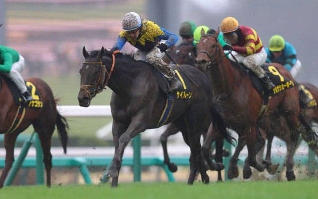 【東風S】ディープ産駒 サイルーンが力強く差し切る