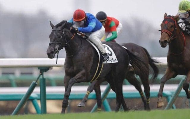 【中山6R】外国産ソーダーンライトが2勝目をマーク