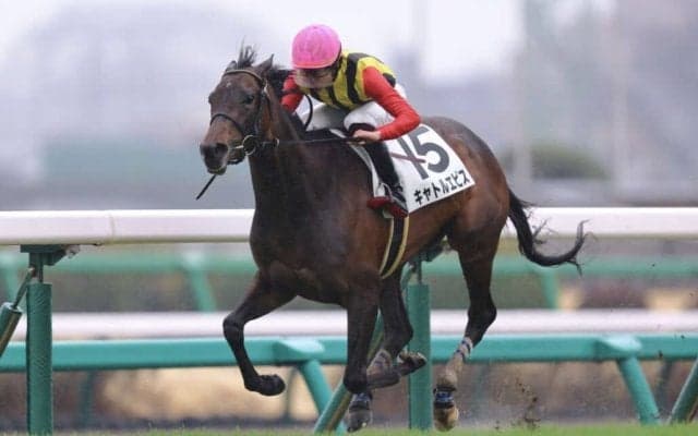 【中山5R】キャトルエピスが大差圧勝