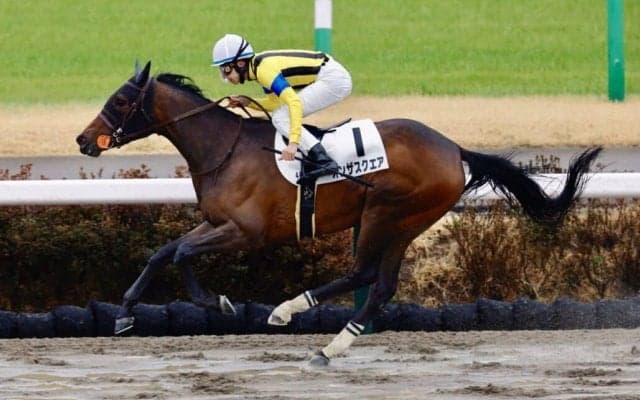 【中山4R】オンザスクエアが人気に応える