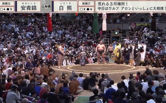 人気力士に掲出された“可愛すぎる”懸賞旗「素敵」「ギャップえぐ」ファン大盛り上がり
