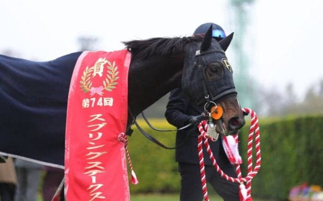 【スプリングS】石橋脩「一生懸命走ってくれた」ピコチャンブラック皐月賞への出走権獲得