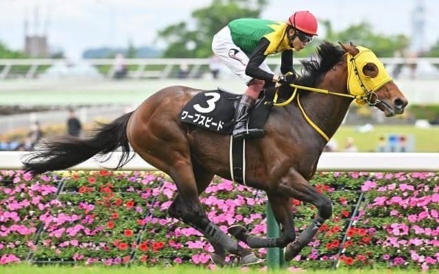 阪神大賞典、フラワーCなど4重賞/今週の競馬界の見どころ