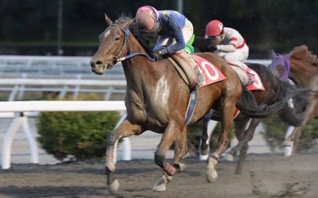 【高知・八畳岩特別】4角で4頭が落馬の波乱…レースはフクチャンキングがV