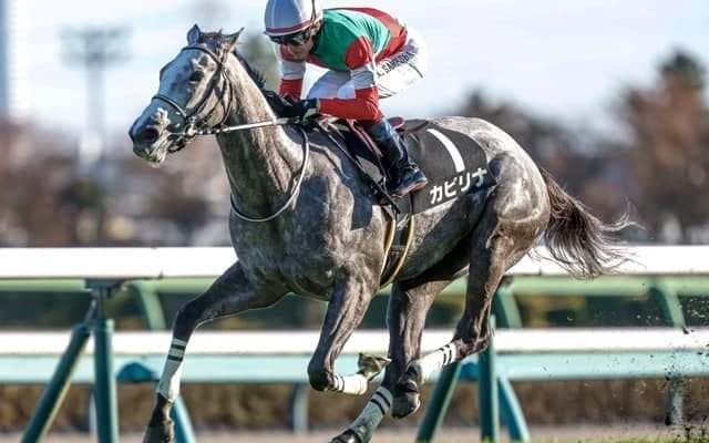 【愛知杯見どころ】カピリナが重賞2戦目での勝利を狙う