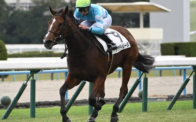 【フラワーC見どころ】パラディレーヌが3連勝でクラシックへ