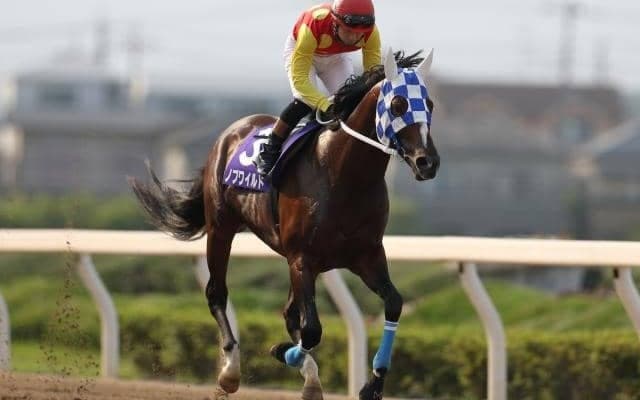 【25年の新種牡馬たち】TUBE前田亘輝氏の愛馬ノブワイルド 産駒にはサクラハゴロモ×アンバーシャダイの全きょうだいクロス持つ馬も