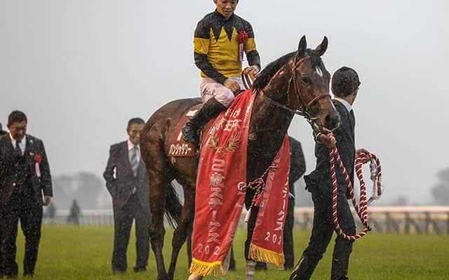 【ファルコンS想定騎手】パンジャタワーは藤岡佑介騎手、シルバーレインはC.ルメール騎手