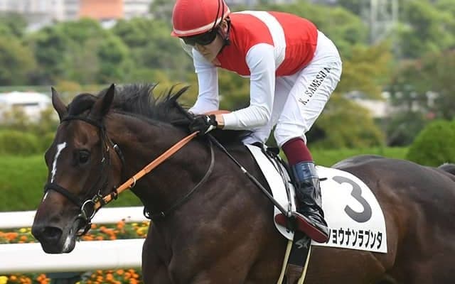【阪神大賞典想定騎手】ショウナンラプンタは武豊騎手、ブローザホーンは菅原明良騎手