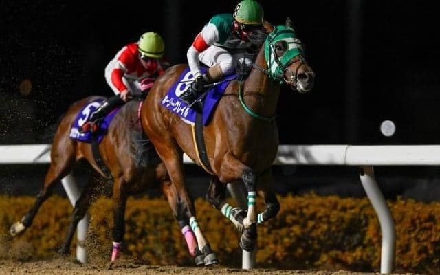 【浦和・桜花賞枠順】前走で牡馬相手に初タイトルのホーリーグレイルは1枠1番、重賞連勝中のプラウドフレールは6枠7番