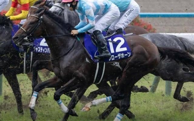 阪神大賞典8年ぶりのGI馬Vなるか 宝塚記念覇者が参戦