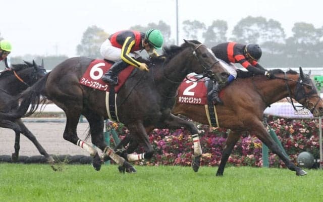 【金鯱賞】クイーンズウォークが重賞3勝目…大逃げデシエルトは4着