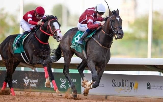 今年アメリカで注目の種牡馬は？ 重賞馬を多数送り出す1頭に注目