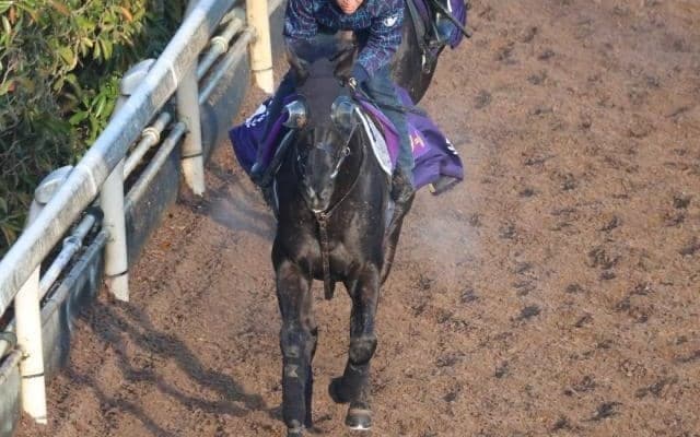 クロワデュノールなど、先週の入厩情報/栗東トレセンニュース