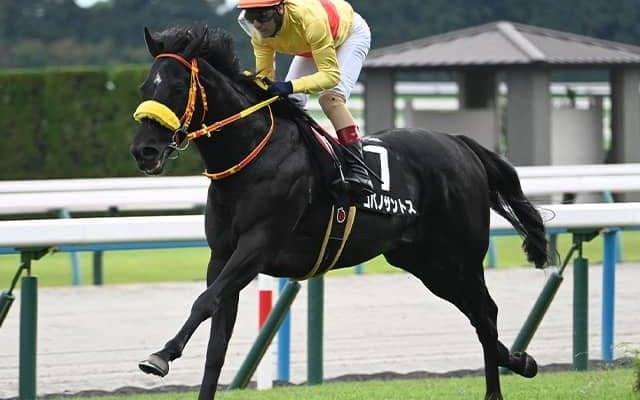 田口貫太騎手が阪神大賞典でJRA重賞初制覇なるか コンビ復活で一発狙う