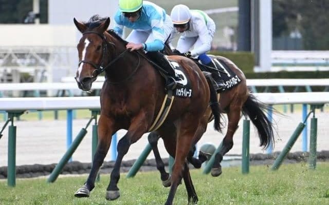 【フラワーC予想オッズ】パラディレーヌが予想1番人気