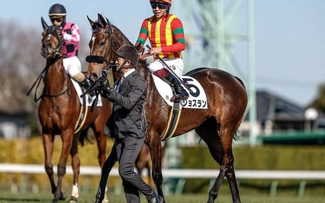 兄のエフフォーリアに続く無敗重賞Vへ フラワーCに良血牝馬が参戦