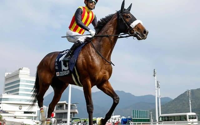 【大阪杯想定】ステレンボッシュ、シックスペンスなど16頭