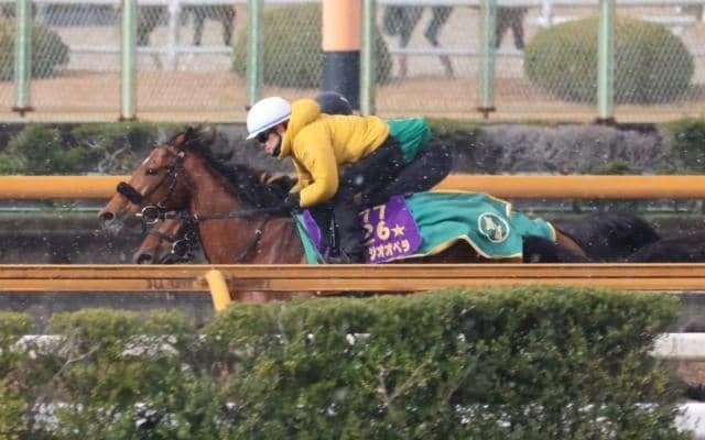 ベラジオオペラなど、大阪杯2週前追い切り速報/栗東トレセンニュース