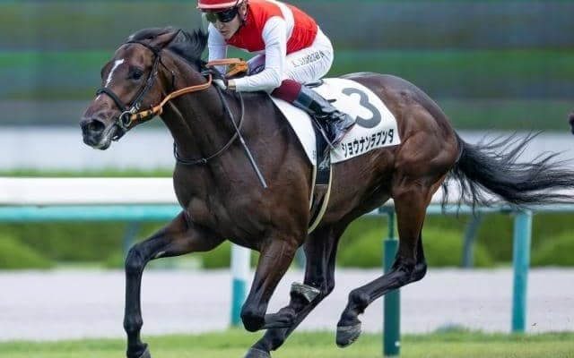 【阪神大賞典予想】距離適性より臨戦過程が重要？ AIも推奨した中心視したい一頭とは