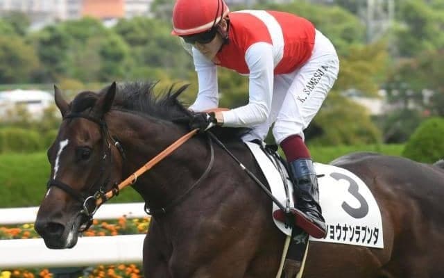 【阪神大賞典展望】ショウナンラプンタがここをステップに飛躍を期す