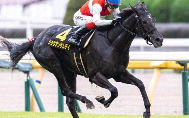 ショウナンパンドラの仔が重賞初制覇へ 母の背も知る池添騎手とフラワーCに参戦