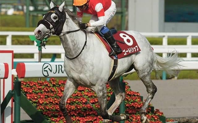 稀代の個性派ゴールドシップ 阪神大賞典の3連覇から10年