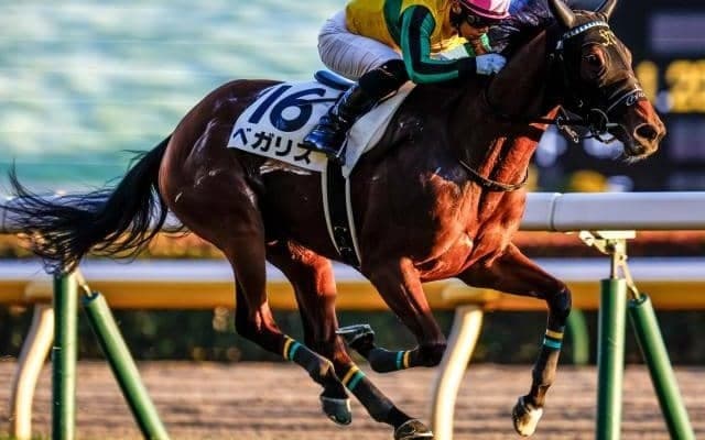 【愛知杯展望】好走条件揃うベガリスの一発を期待