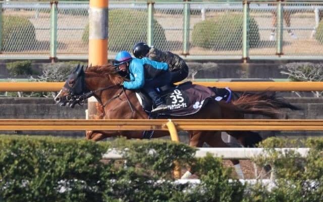 アルテヴェローチェ、チャーチルダウンズC2週前追い切り速報/栗東トレセンニュース