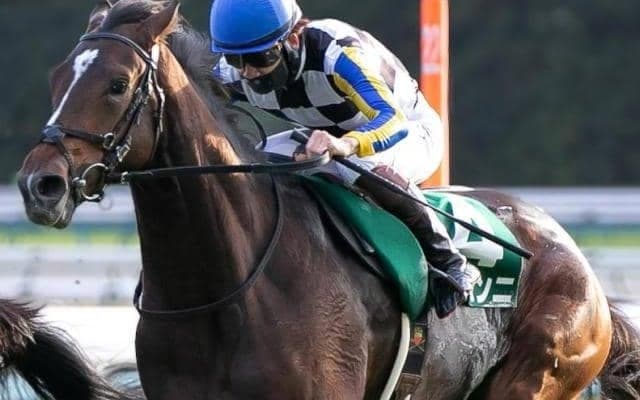 GI2着馬がクラシックへ始動 若葉Sで惜敗続きにピリオドなるか