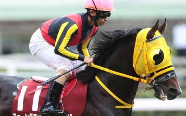 21年スプリンターズS覇者の半弟が障害戦へ 新たな舞台で再起図る