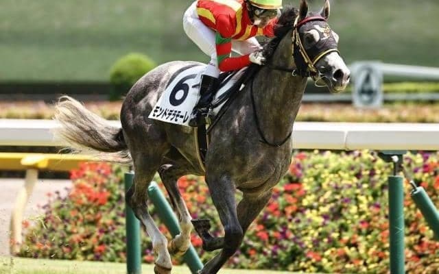 白老Fの名牝系出身馬 ファルコンSで一族初のJRA重賞制覇なるか