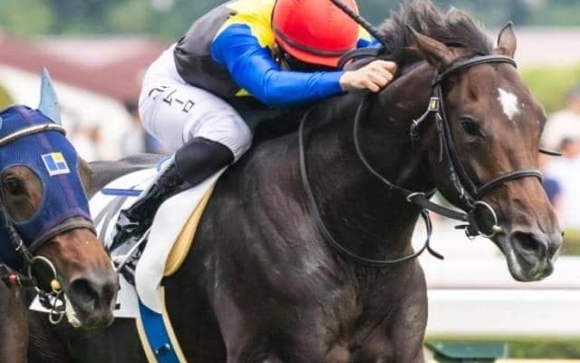 母は牝馬三冠馬、半姉もGI馬 期待の良血馬がクラシックに向け2勝目へ