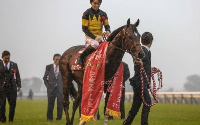 【ファルコンS枠順確定】パンジャタワーは2枠4番、クラスペディアは7枠13番