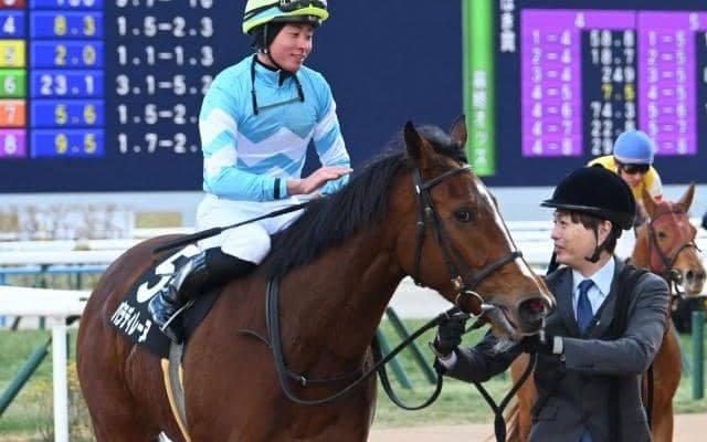 【フラワーC枠順確定】パラディレーヌは2枠4番、ゴーソーファーは6枠12番