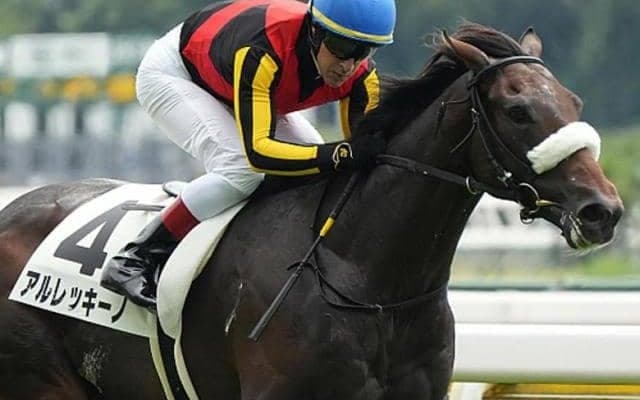 未勝利戦7馬身差V オークス馬の半弟が自己条件で待望の2勝目狙う