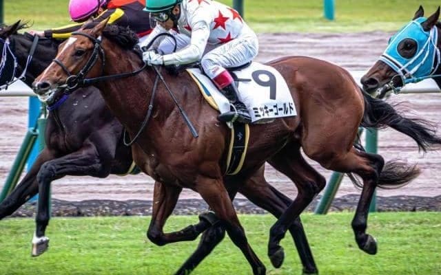 連対率100％の1億円馬 若葉Sでクラシックへ弾みをつけるか