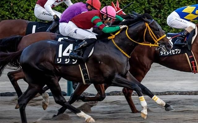 千葉ロッテマリーンズ・吉井理人監督の愛馬 転厩初戦を白星で飾れるか