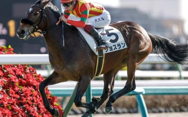【フラワーC予想】前走1勝クラスを勝ち上がった馬に良績集中！ 前走重賞組はコースやレース格に注意