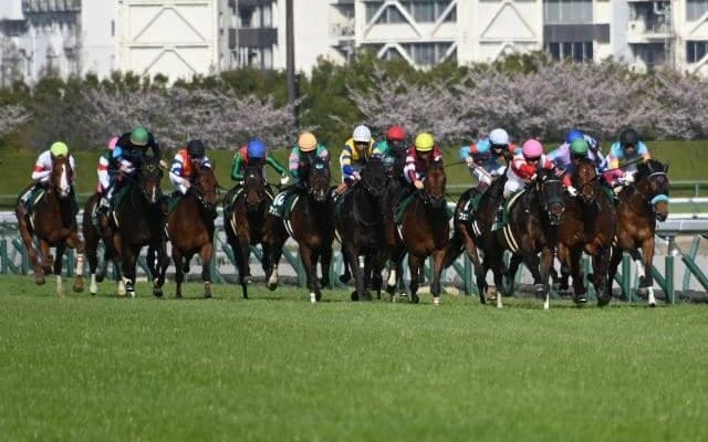 今週末は2日続けて「中京芝1400m重賞」 血統や脚質などの狙い目は？