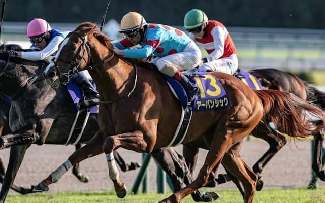 【日経賞想定馬・騎手】アーバンシック、シュヴァリエローズなど16頭