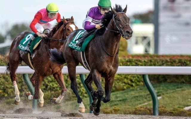 【高知・黒船賞枠順】重賞3勝目狙うエンペラーワケアは7枠9番