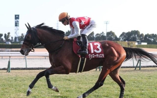 【競馬予想】天皇賞・春の前哨戦、阪神大賞典で注目の血統は？　長距離での成績から２頭をピックアップ